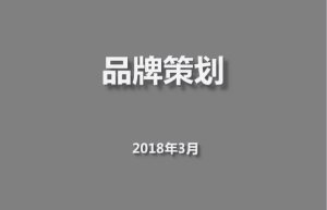 企業營銷必備法寶：品牌策劃方法及流程大(dà)全+營銷企劃寫作(zuò)要點