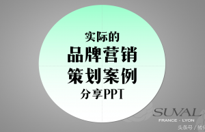 策劃方案、案例參考，公司品牌策劃營銷方案PPT